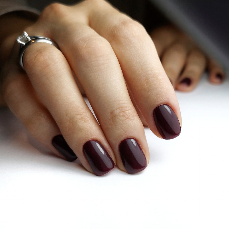 Hybrid Nagellack Studios Didier - bordeaux, 8ml - Didier Lab Germany