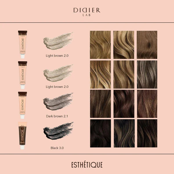Esthétique Augenbrauenfärbe-Set mit Aktivator, Didier Lab