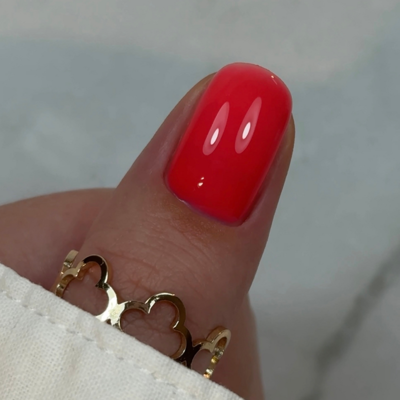 Builder Gel in a bottle BBIO, Love Red, hema & TPO frei, DidierLab, 15ml