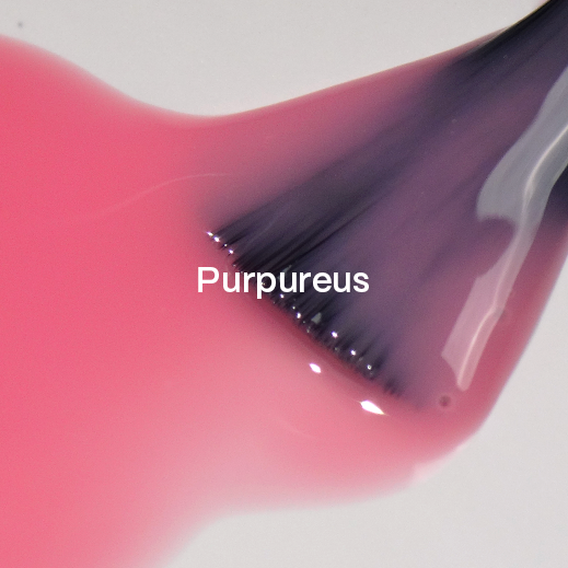 UV Nagellack Studios Didier, Purpureus, Hema & TPO frei, DidierLab, 8ml