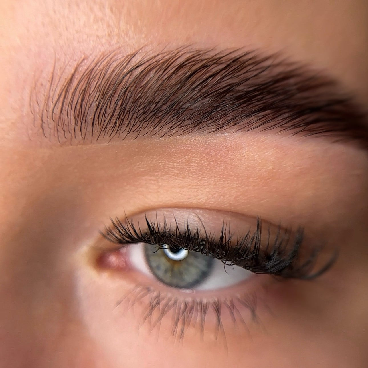 Hybrid Liquid Stain – Pflegendes Färbeset für Augenbrauen und Wimpern, Didier Lab