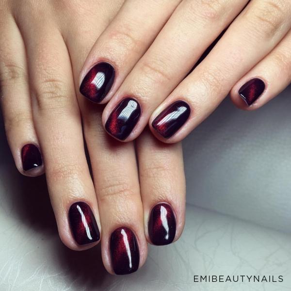 Didierlab Cat eye Gel polish "Didier Lab", Cat eye, No7